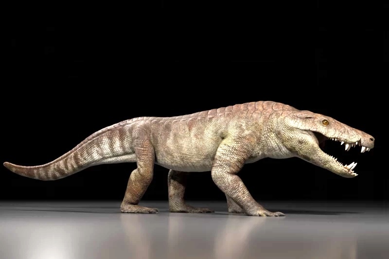 Так, по мнению учёных, выглядел Kostensuchus atrox. Автор: Габриэль Диас Янтен.