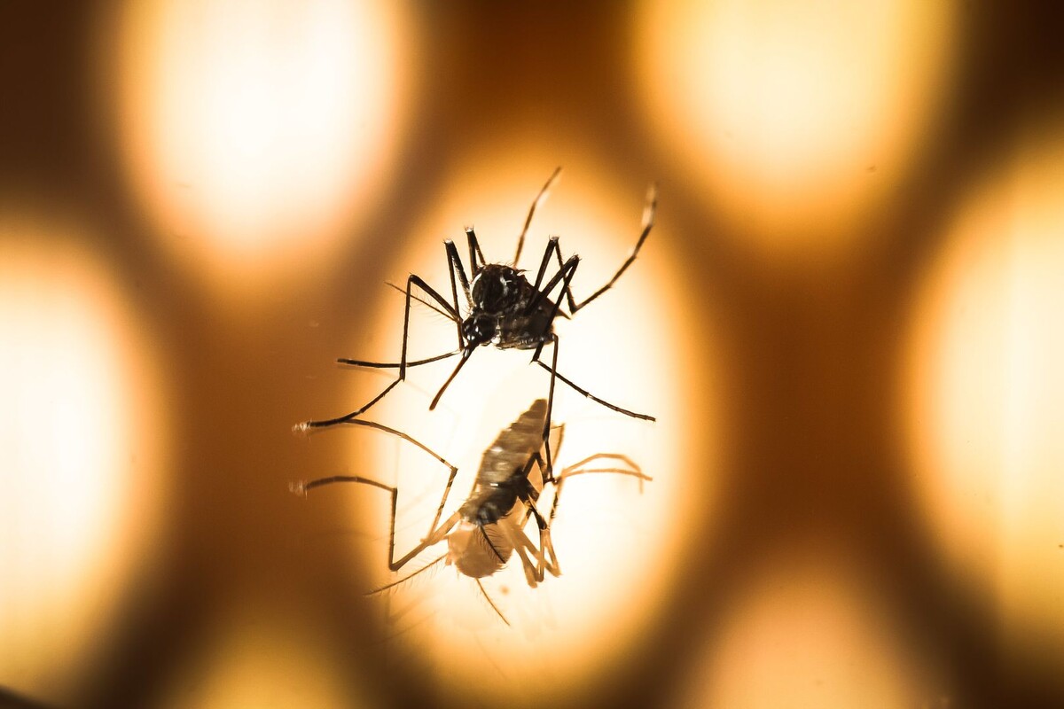     / Источник: © Global Look Press