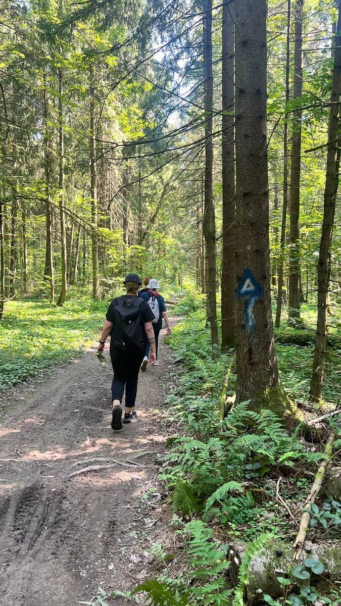  Это был отличный лесной переход. Фото из архива экскурсовода Екатерины Даниловой.