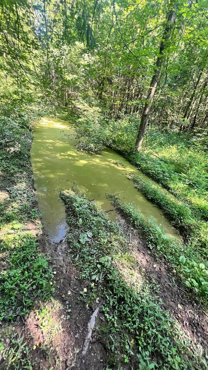 Хотя встречались и такие вот трудные участки.