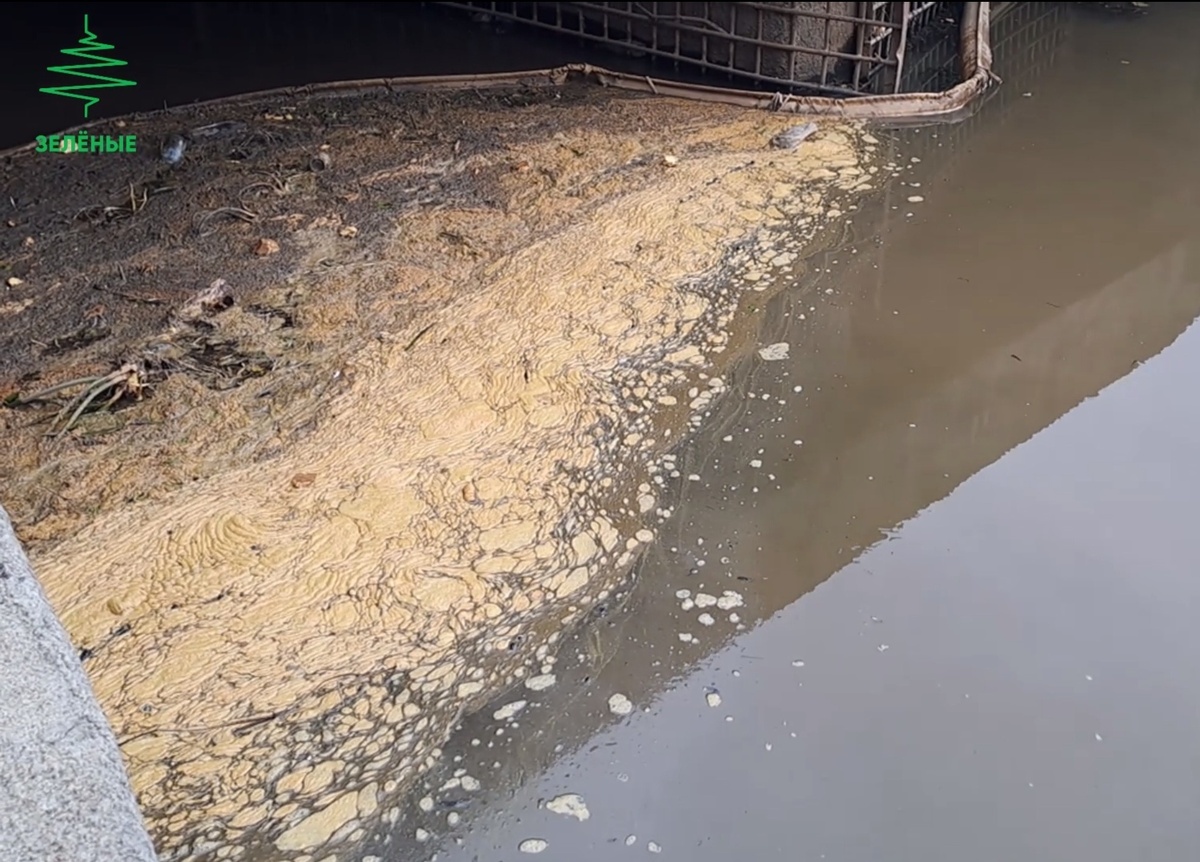 Пена на Верхнем Люблинском пруду