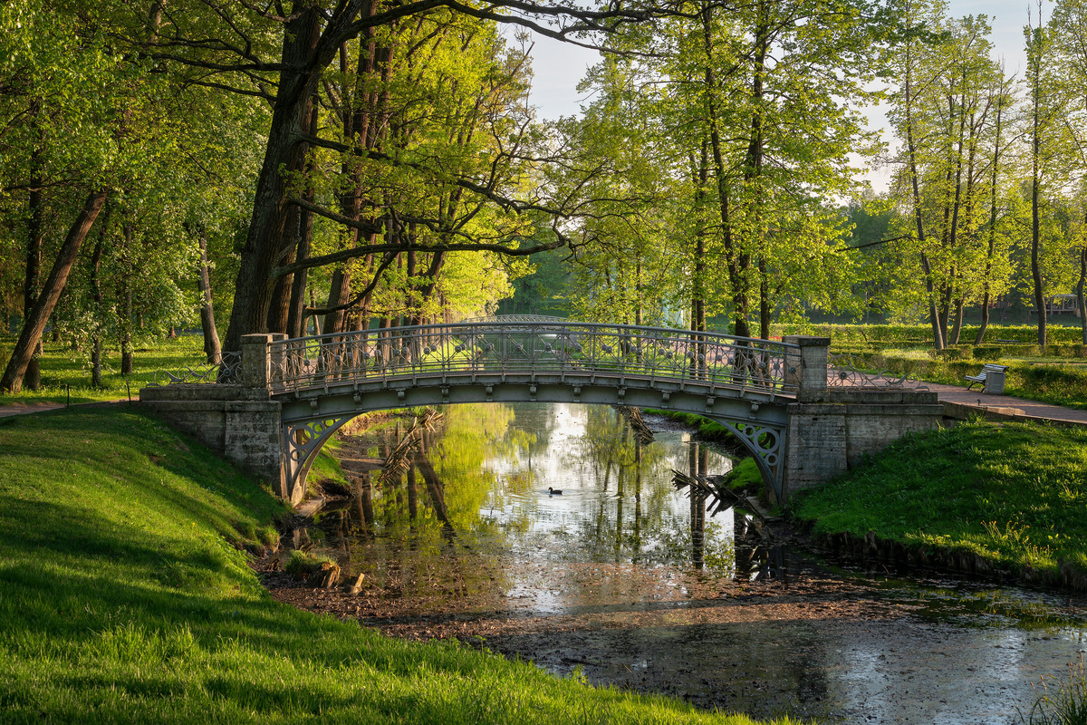 Дворцовый парк — одна из главных достопримечательностей Гатчины. В нём есть памятники, павильоны, пруды, озеро и даже свой дворец с подземными ходами. Мосты, ботанические сады, амфитеатр, колонны и павильоны — рассматривать и фотографировать достопримечательности можно долго. Фото: Shutterstock