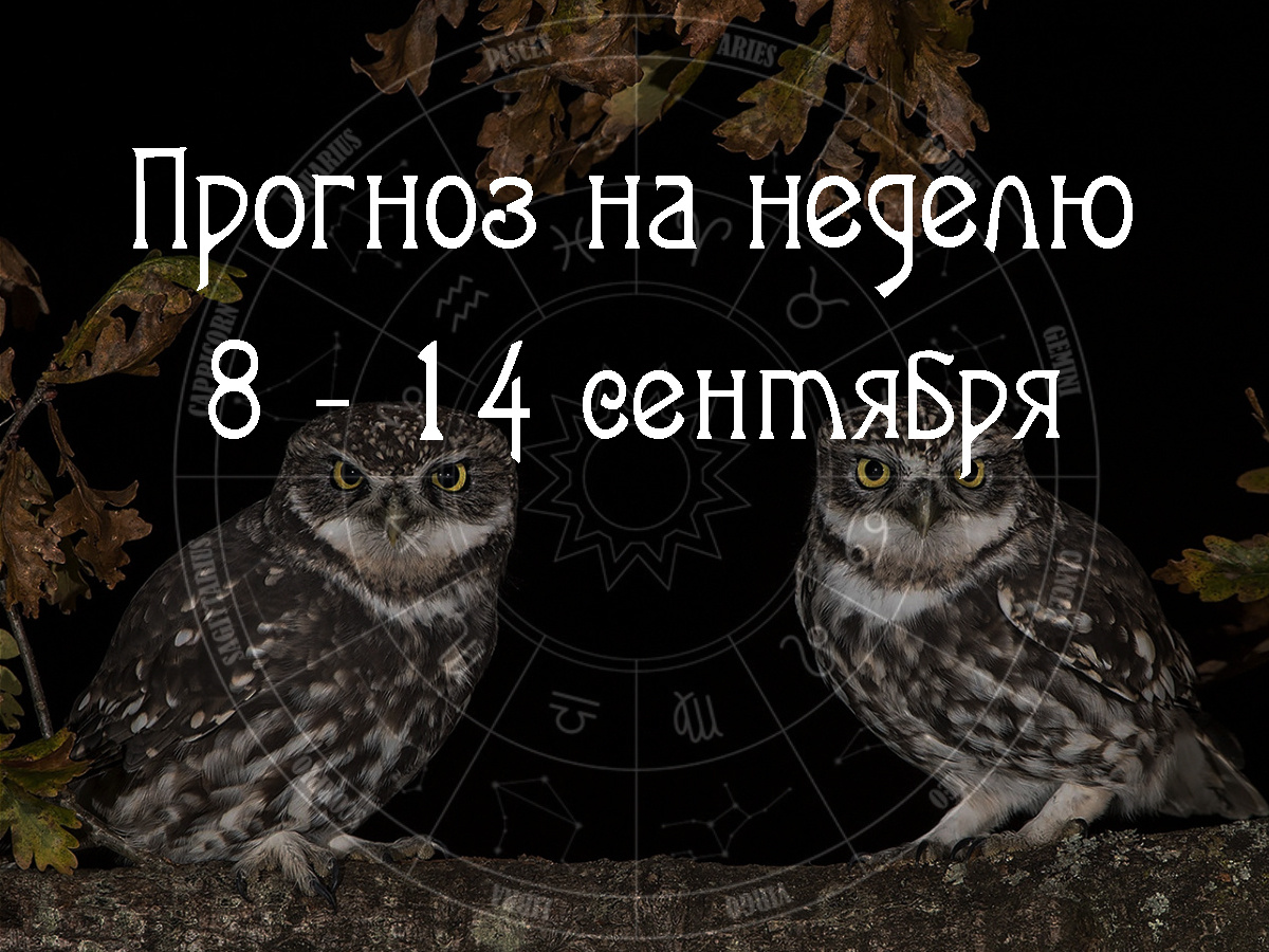 Астрологический прогноз на 8 – 14 сентября 2025 года