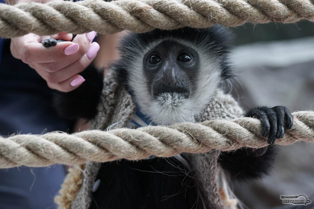    Фото: Лидия Аникина © ИА «Уральский меридиан»