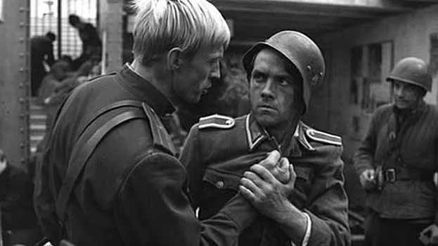 Того момента я в картинках не нашёл, но и этот хорош. "Ещё раз возьмёшь в руки оружие - убьём! Иди отсюда!"