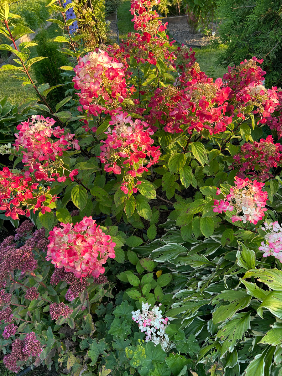 Фото автора.