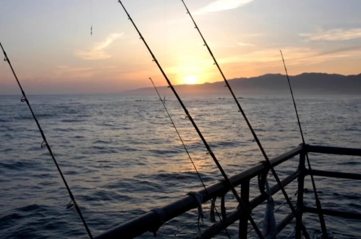    В Алуште обрушился причал с рыбаками