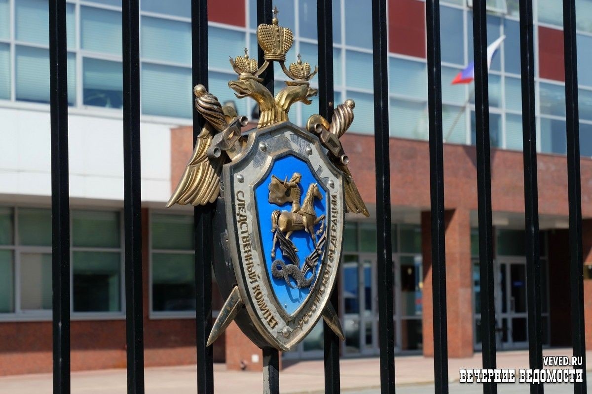     Фото: Владислав Постников / Вечерние ведомости