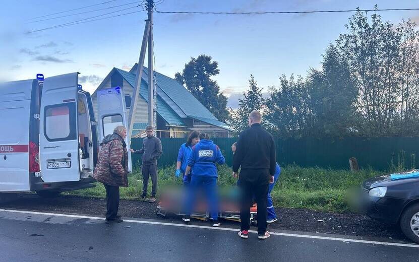 Фото: Госавтоинспекция Удмуртии