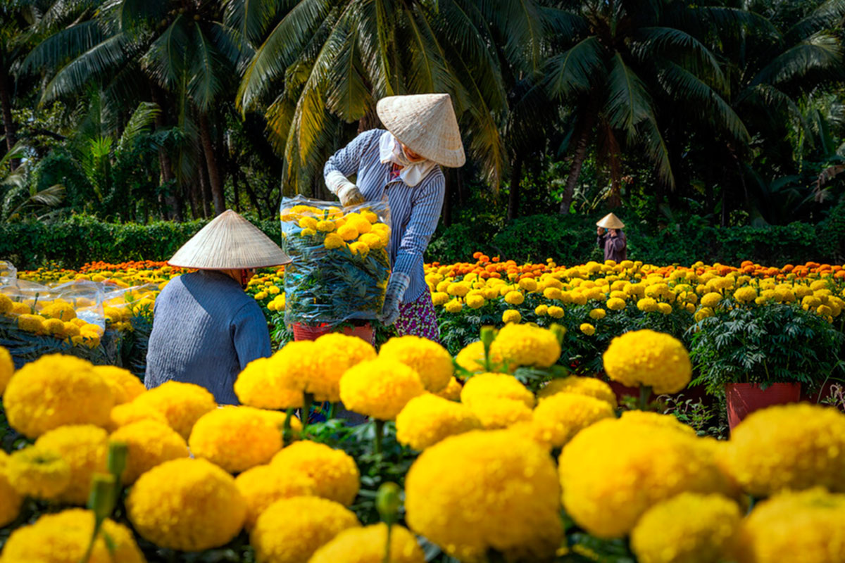 Наши клетки — это потомки древних бактерий, которые когда-то решили скооперироваться