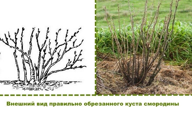 Фото использовано в качестве иллюстрации. Источник Яндекс-картинки