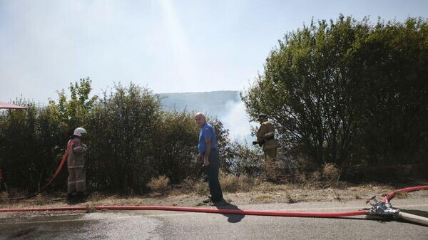    © Sputnik / Фатима Плиева