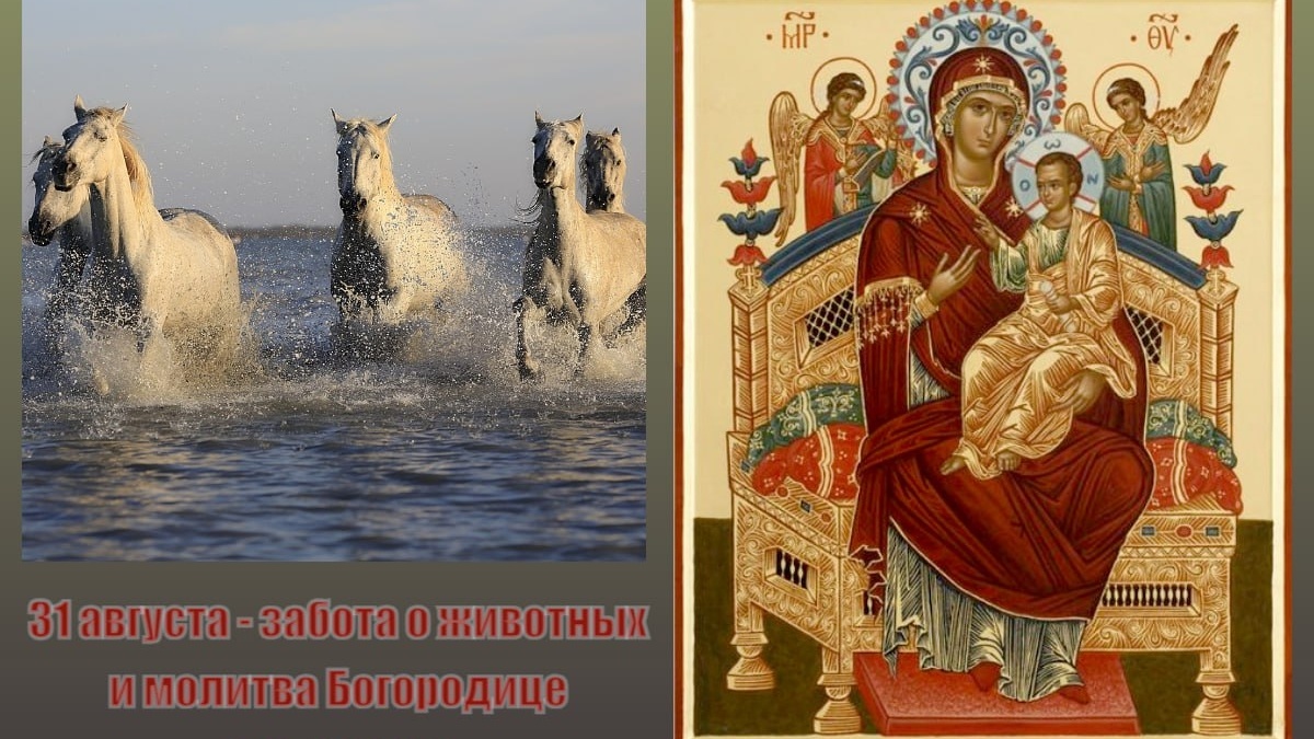 ИА SM-News, Икона Богородицы ""Всецарица", Лошади/pixabay.com📷
