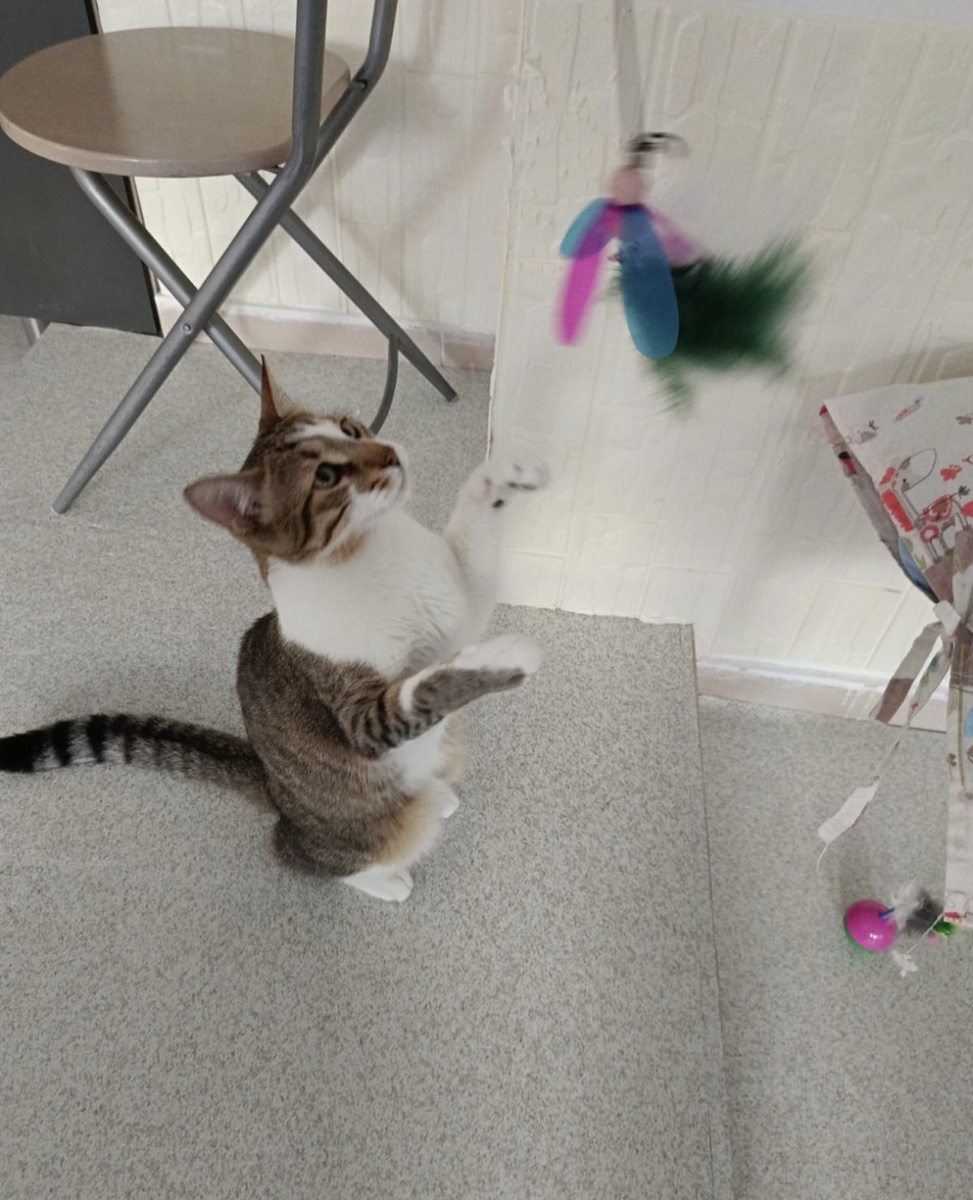 Васенька играет