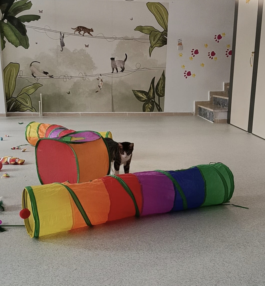 Кузьма в игровой зоне, нам пришлось потом купить такой де тоннель домой