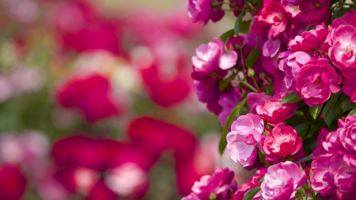 Решения, которые принимает душа