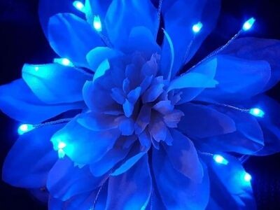    Светящиеся растения способны заменить собой ночники