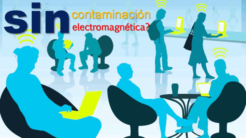    Публичная Wi-Fi и школьные платежи