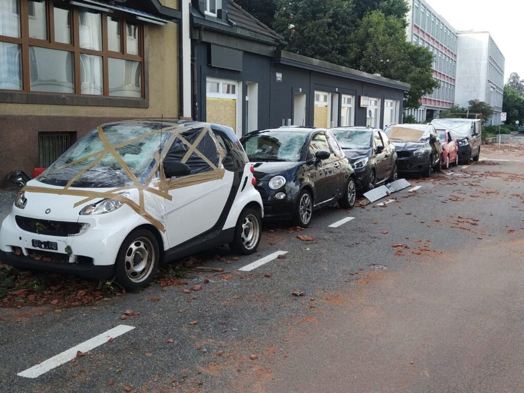    Фото: Главный региональный