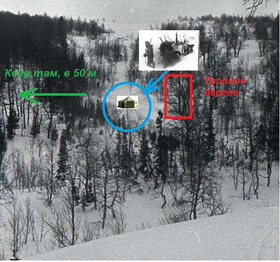 В этот роковой вечер дятловцы поставили свою палатку в овраге с ручьем, примерно в 50 метрах от Кедра. Причем поставили они ее в варианте "вне леса" - сделав под палатку небольшую яму и подложив под нее лыжи и несколько срубленных пихточек. 