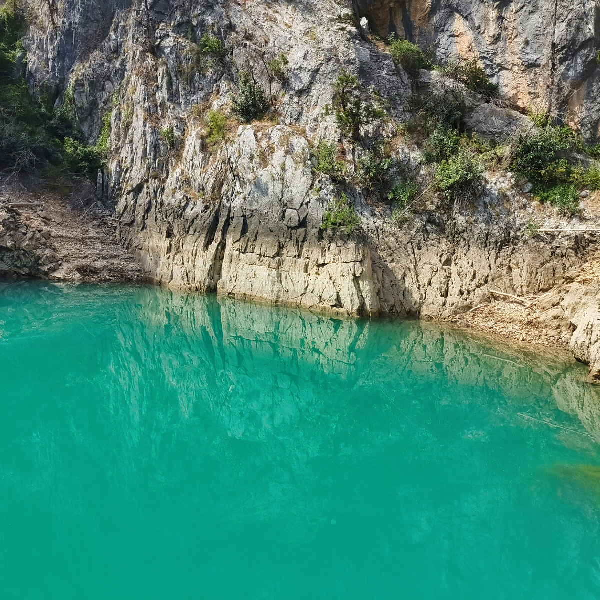 Правда ли, что дешевле покупать экскурсии в Турции на улице, а не у отельных гидов Pegas Touristic, Anex Tour и Coral Travel