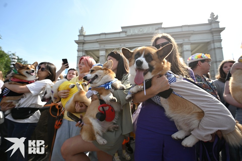  Евгения ГУСЕВА