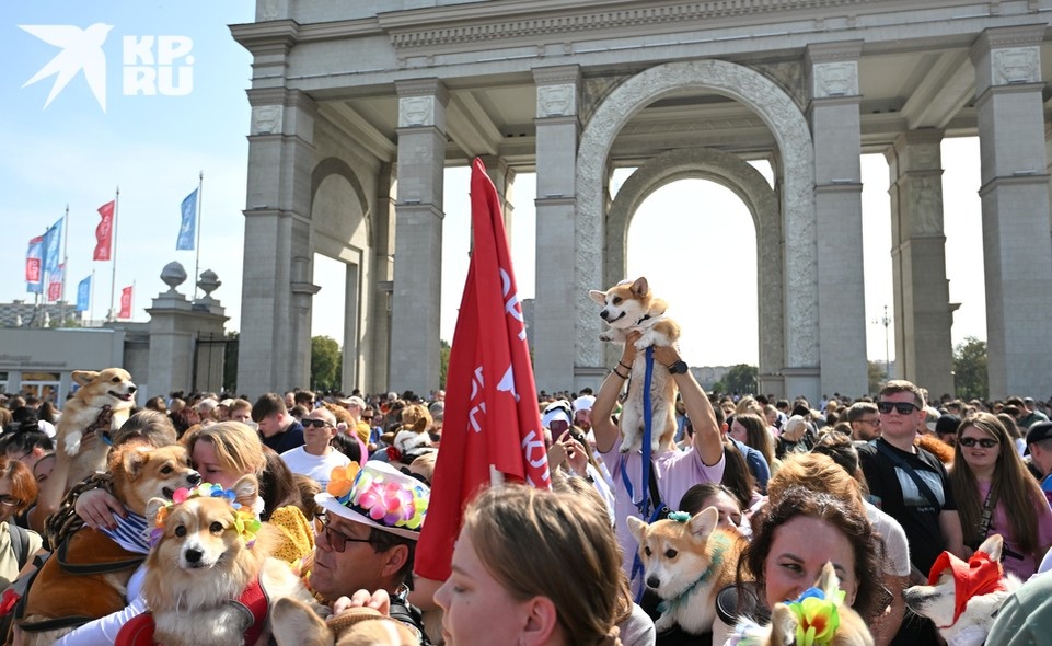   Евгения ГУСЕВА