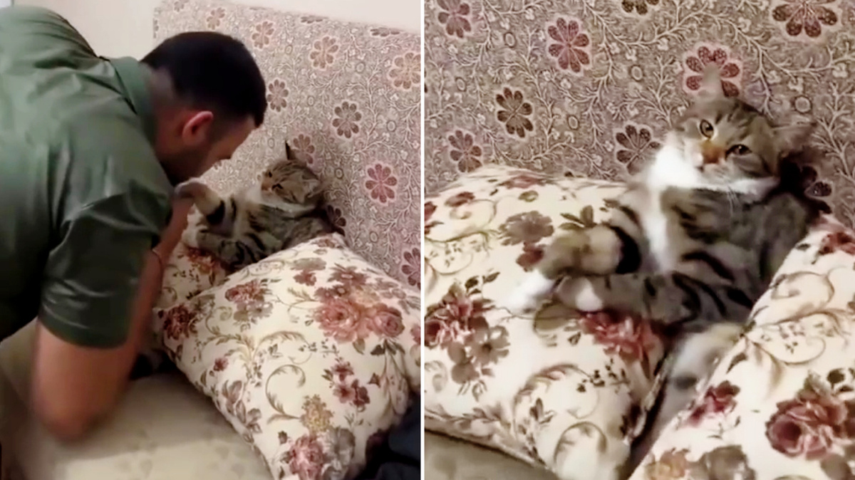 О, великий господин.... ЕЩЕ ФОТО --->>