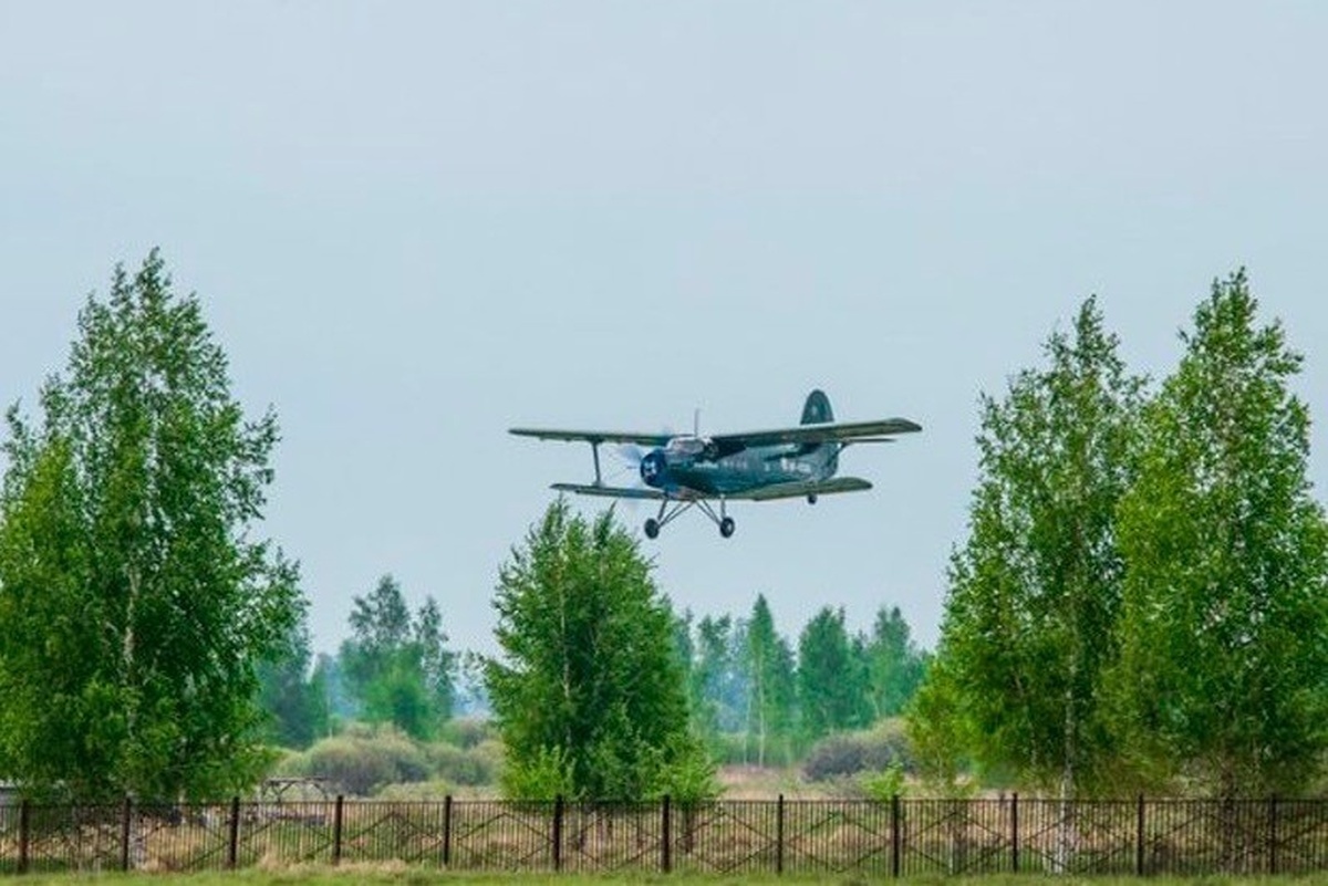    Фото: Юлия Новикова, источник: top68.ru