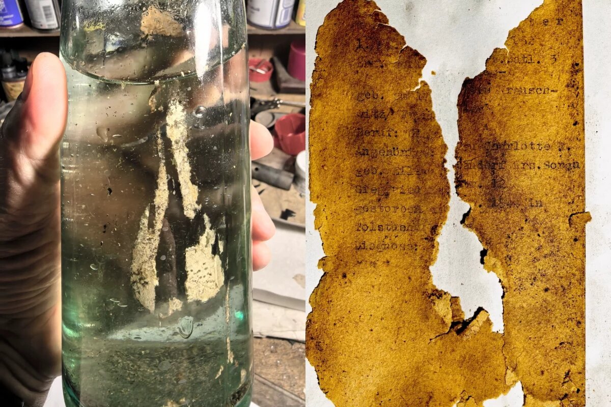    В Себежском районе из бутылки извлекли старинное послание на немецком языке