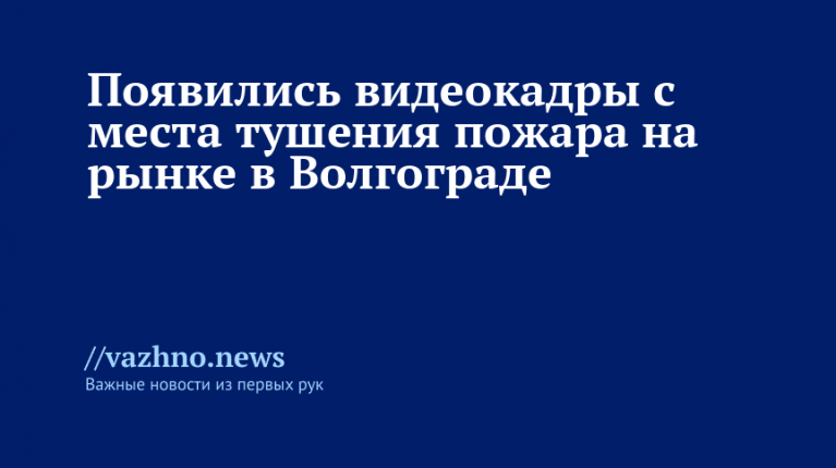    Фото: МЧС РФ