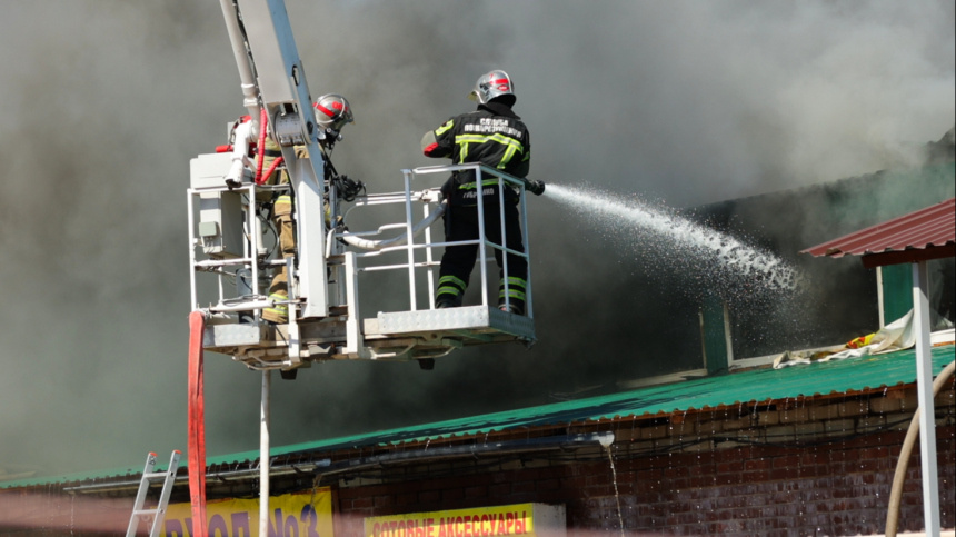    Фото: © РИА Новости/Кирилл Брага; 5-tv.ru