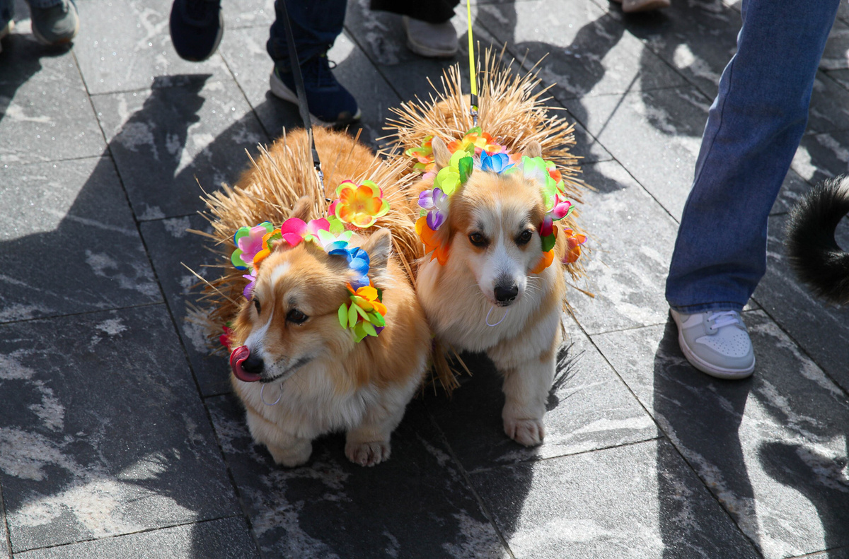    Василий Кузьмичёнок / Агентство «Москва»