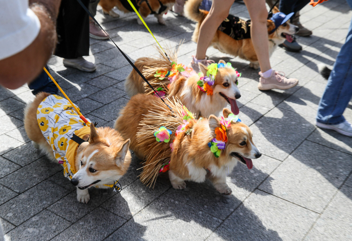    Василий Кузьмичёнок / Агентство «Москва»