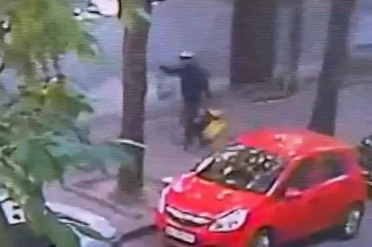    Эксперт Фонарев: экс-коменданта Майдана Парубия убили за две секунды