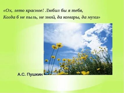 Фото из открытого источника Интернета