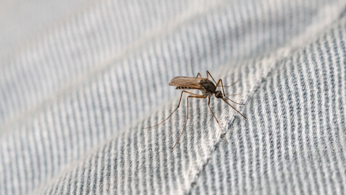    Фото: Сергей Зубков / «Ямал-Медиа»