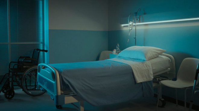 Фото: stock.adobe.com