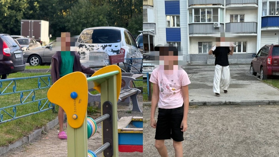 «Смеялись и кидали в нее мяч»: в Новосибирске дети затравили 80-летнюю пенсионерку