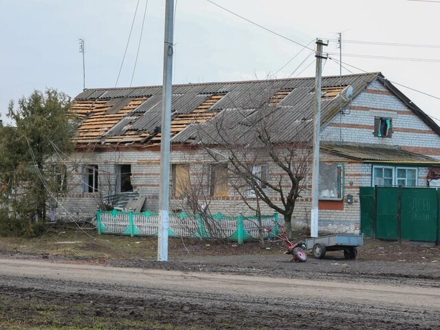   Фото: ТАСС/NEWS.ru/Юрий Конопатов