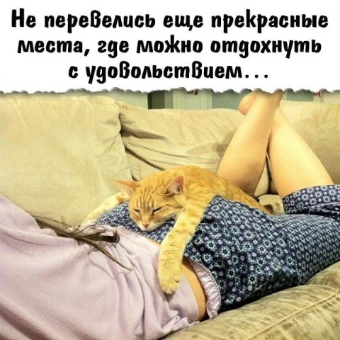Это не мой кот и не моё место, где можно отдохнуть с удовольствием