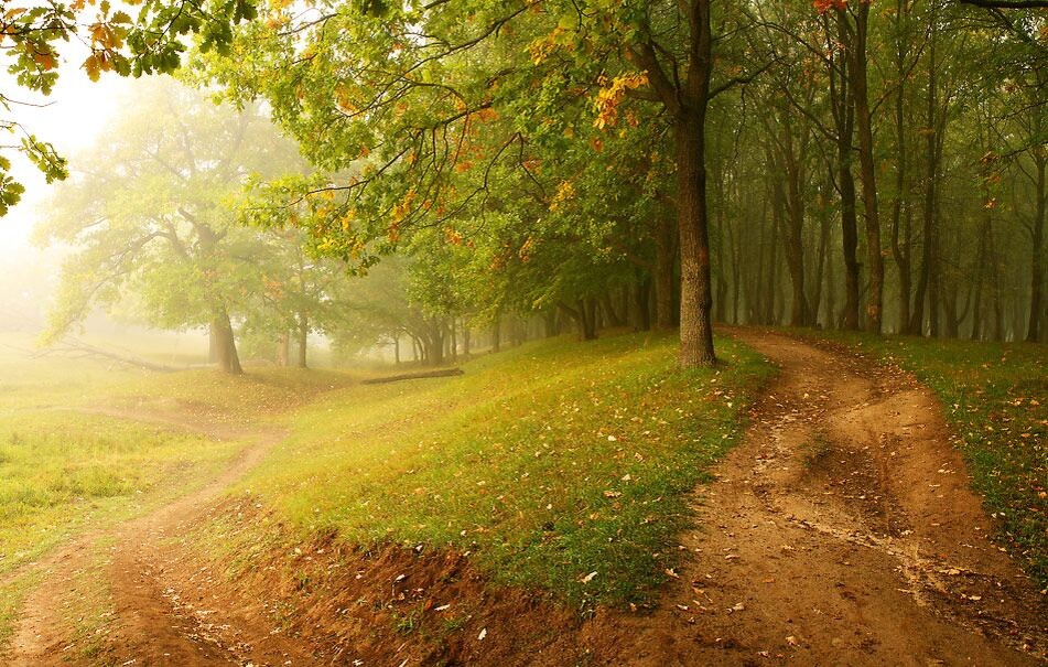 Осень. Источник: Яндекс. Картинки