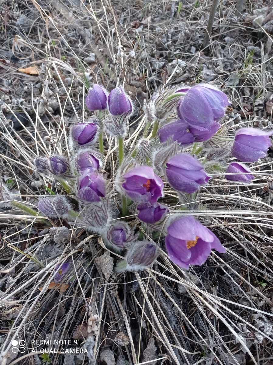 Хотелось что-то подобное.