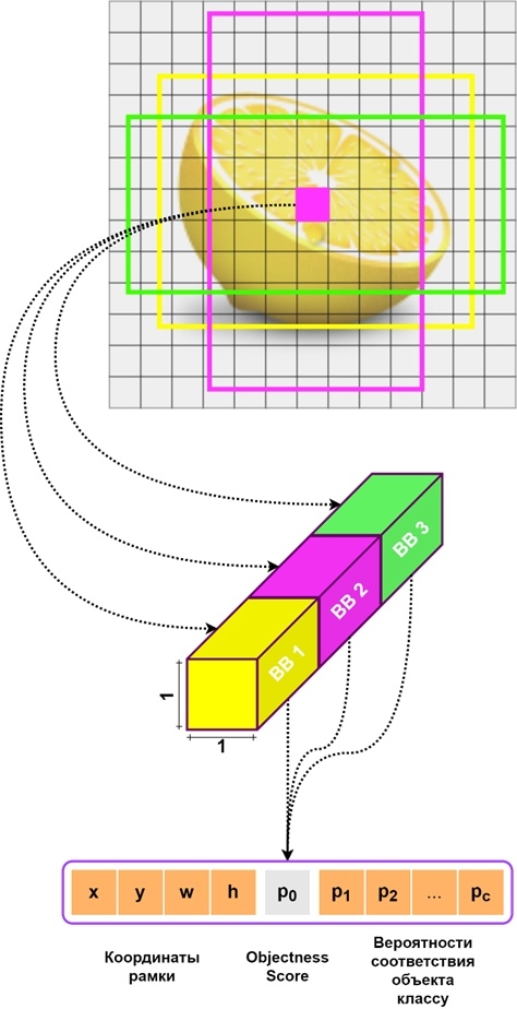 YOLO делит входное изображение на сетку из ячеек
