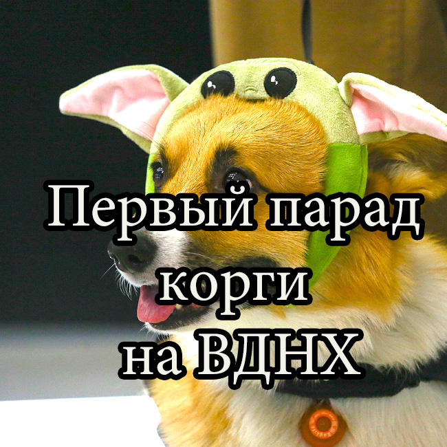 Фото А.Лебедева