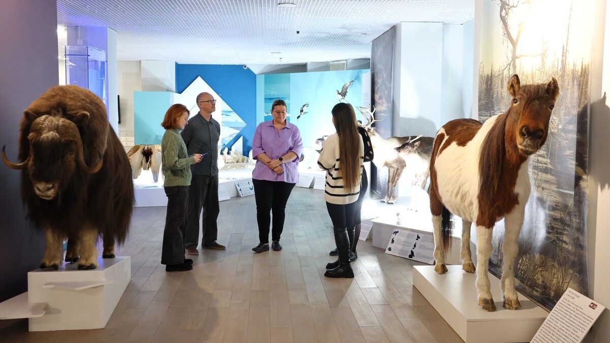    Фото: Андрей Ткачев / «Ямал-Медиа»