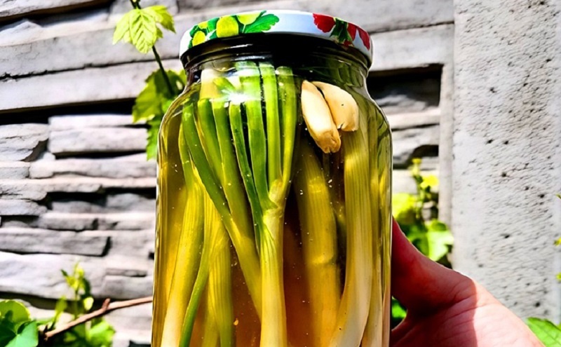 Маринованный зелёный лук: быстрый рецепт для ярких закусок