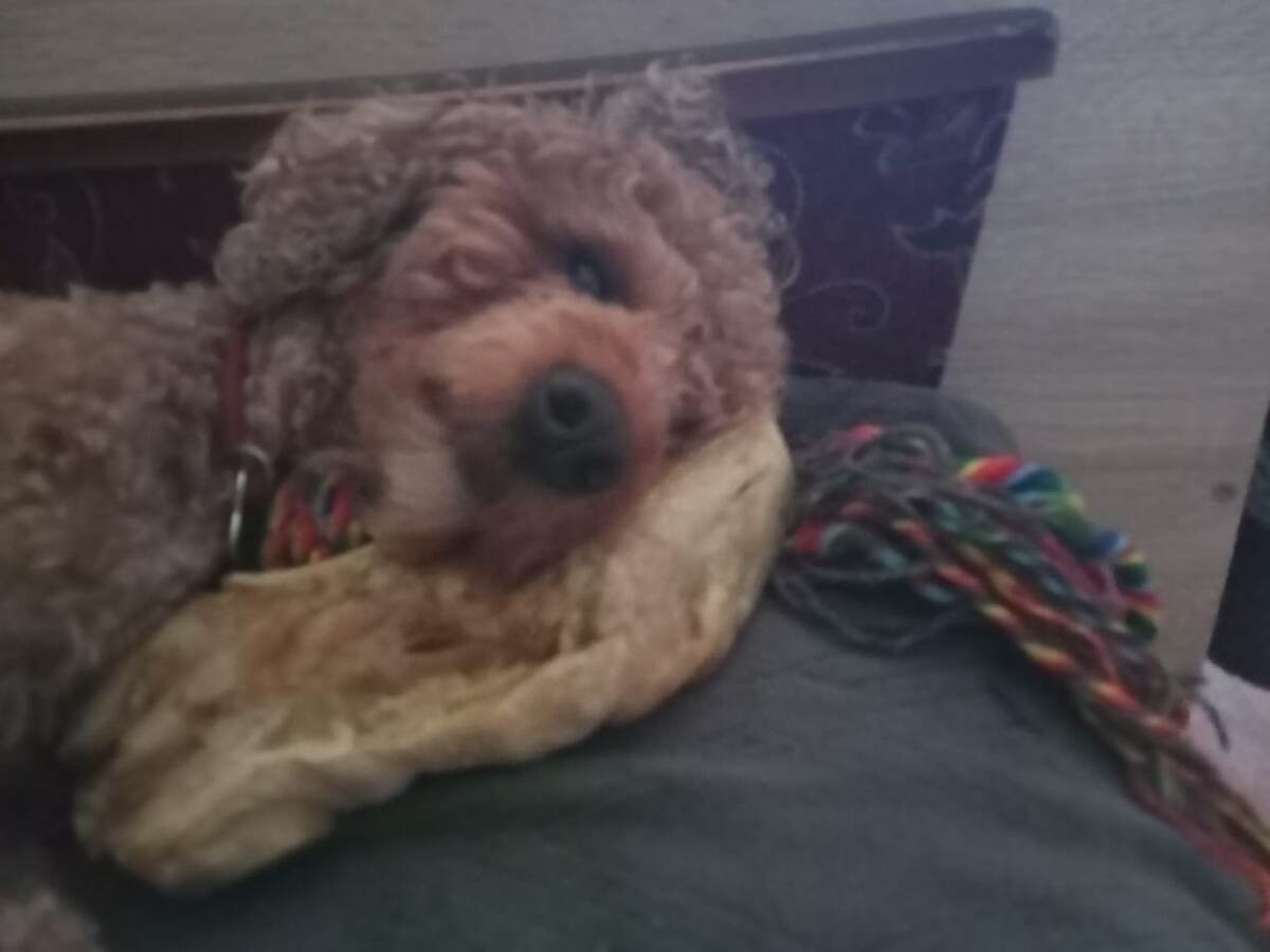 Румпель: - Не смотри на меня.