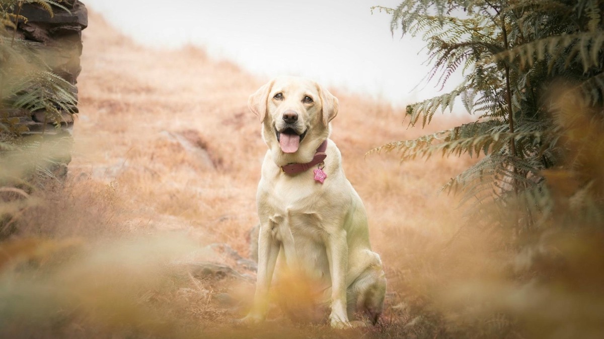    Ее мир вращается вокруг вас и вашего счастья.