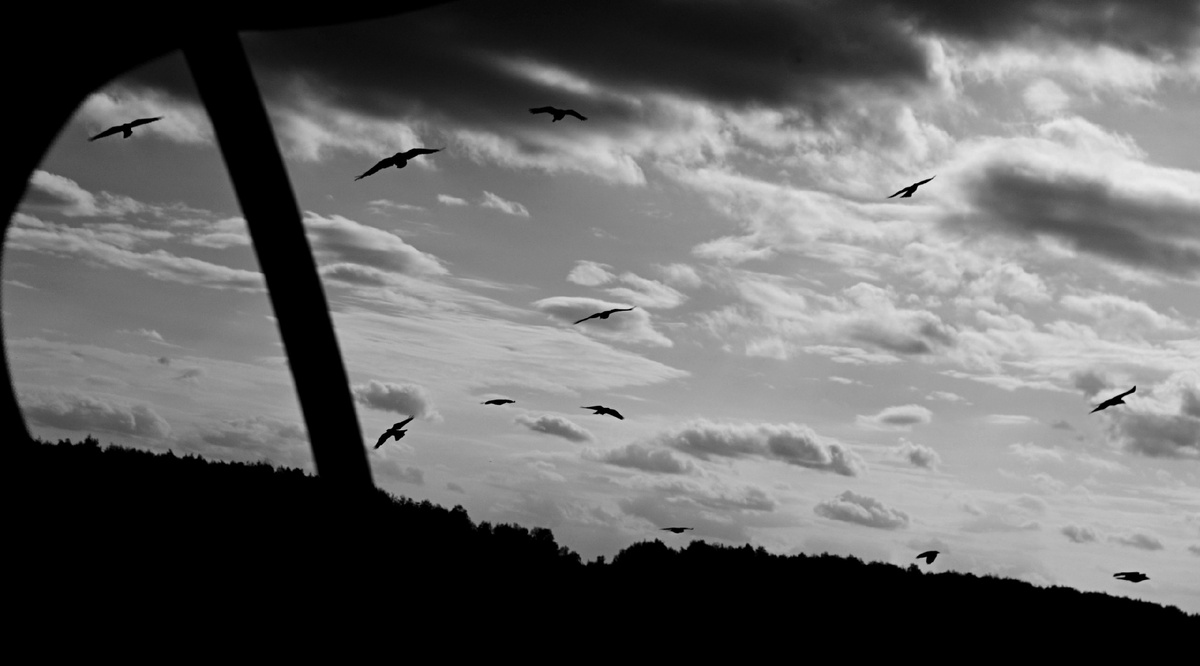 фото Надежды Павлючковой-Кочневой